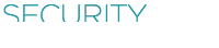 Security-Management-logo